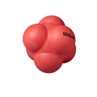 Wilson Large Reaction Ball - Ball